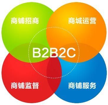 B2B2C商城盈利之道 從系統(tǒng)開發(fā)到精細(xì)化運營的全景策略