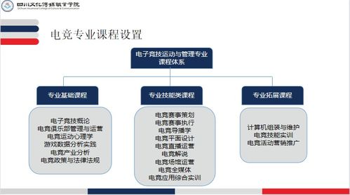電子競技運動與管理專業(yè)介紹 電子商務(wù)平臺開發(fā)及運營方向
