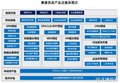 新股簡析 賽意信息（300687）——電子商務(wù)平臺開發(fā)及運營的潛力股